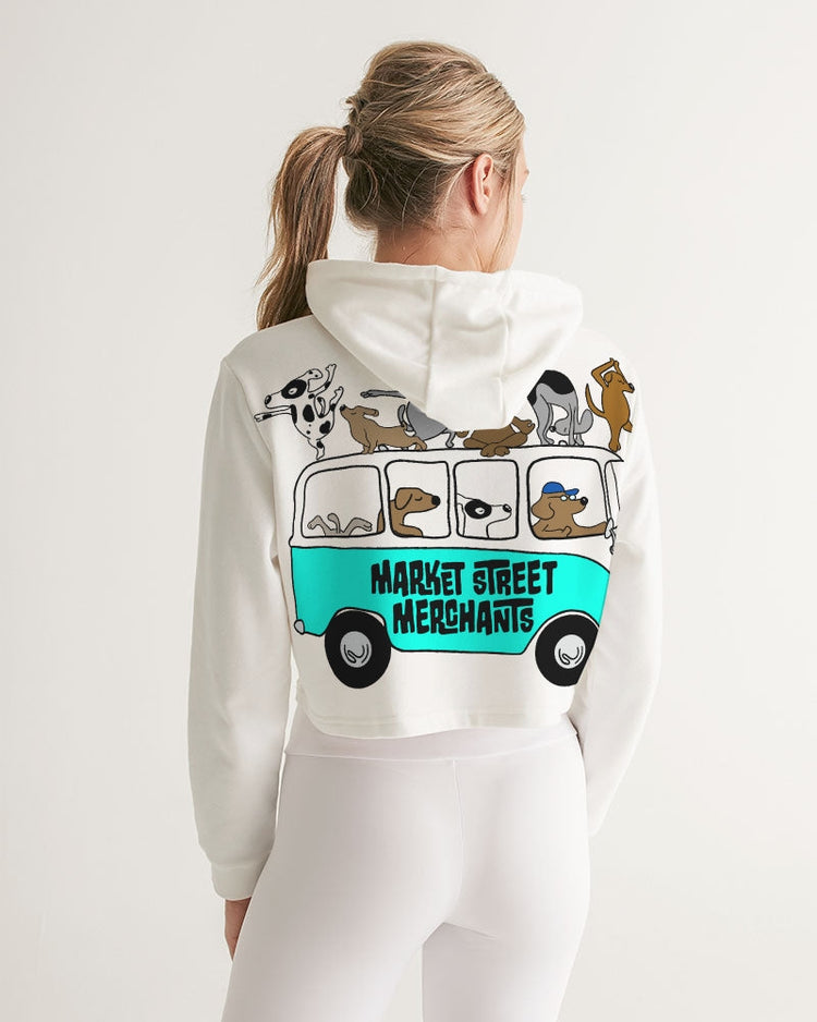 Clothing / Apparel and Accessories